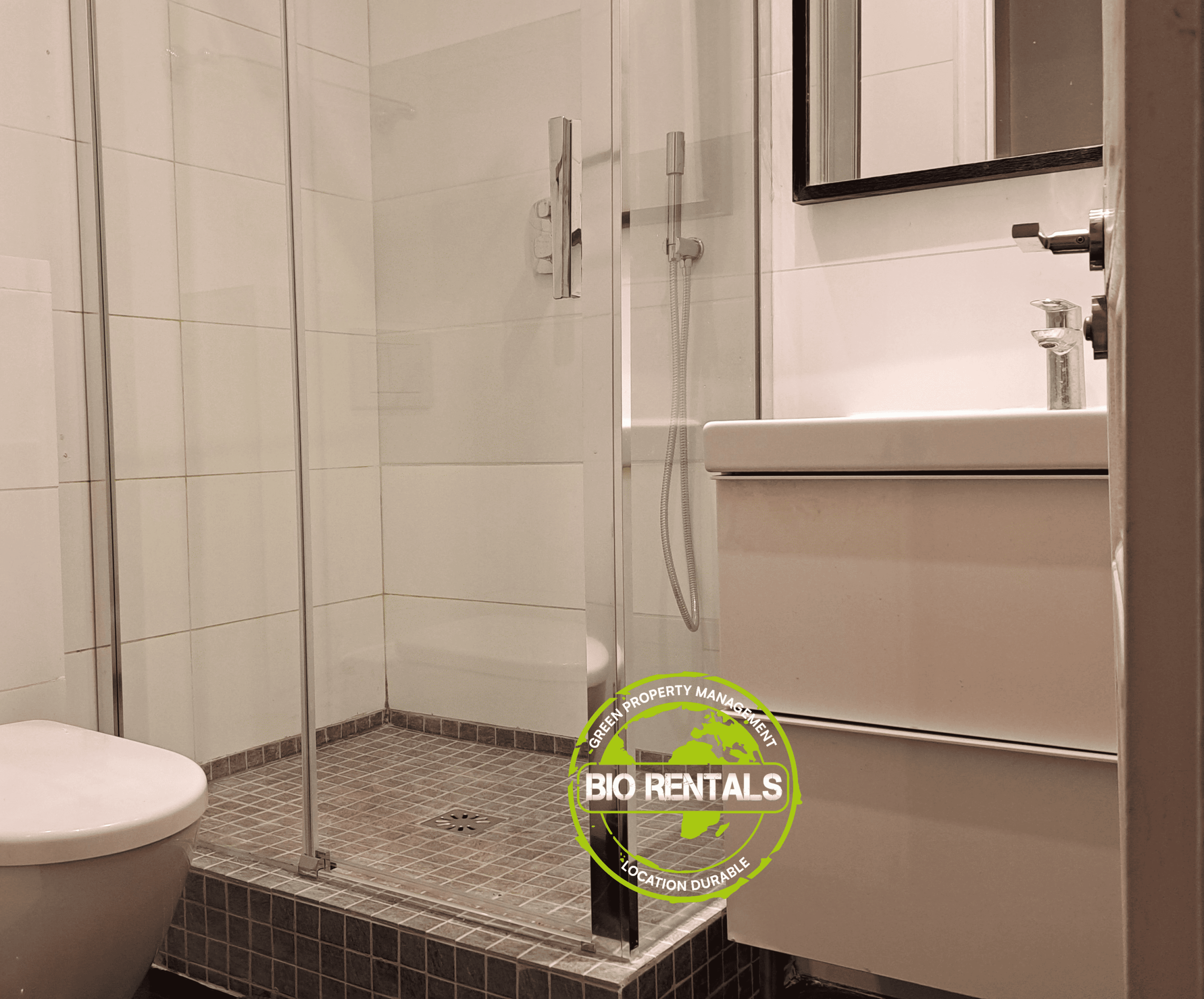 rentals-paris-shower-room