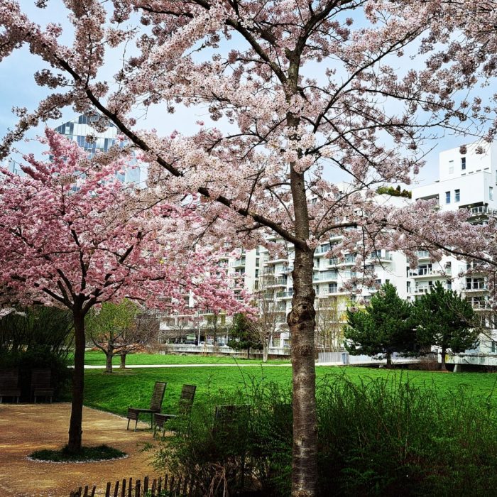 bio-rentals-grand-paris-issy-coeur-de-ville